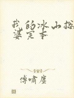 我的冰山总裁老婆完本