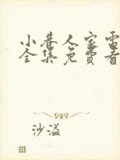 小巷人家电视剧全集免费看完整版