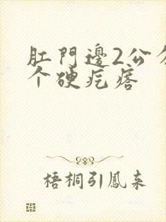 肛门边2公分有个硬疙瘩封面