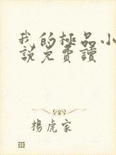 我的极品小姨小说免费读