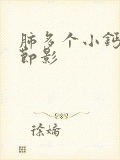 肺多个小钙化结节影封面