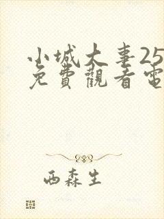 小城大事25集免费观看电视剧剧情