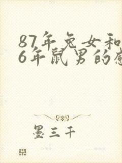 87年兔女和96年鼠男的感情和婚姻封面