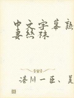 中文字幕熟女人妻丝袜封面