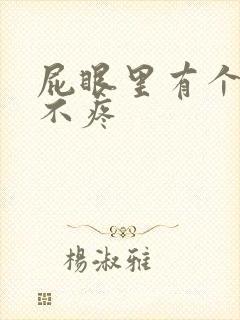 屁眼里有个肉球不疼封面