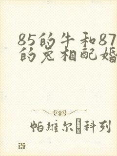 85的牛和87的兔相配婚姻如何