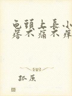 龟头上长小红疙瘩不痛不痒是怎么回事