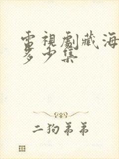 电视剧藏海传有多少集