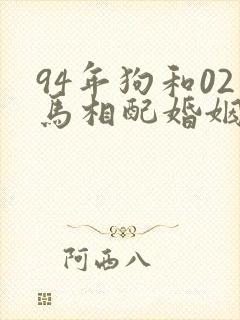 94年狗和02马相配婚姻如何