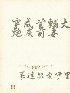 穿成首辅大人的炮灰前妻