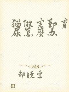 猫做完节育还乱尿怎么办