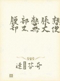 腹部憋胀想大便却又无大便封面