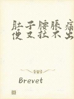 肚子腰胀痛想大便又拉不出来