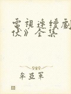 电视连续剧《潜伏》全集