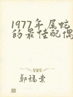 1977年属蛇的最佳配偶属相封面
