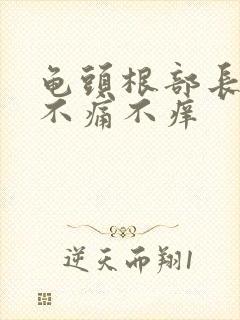 龟头根部长颗粒不痛不痒封面