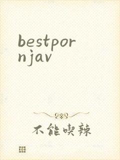 bestpornjav封面