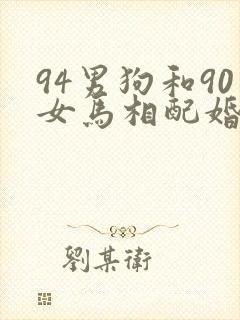 94男狗和90女马相配婚姻如何