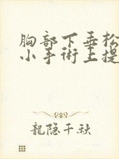 胸部下垂松弛缩小手术上提需要多少钱