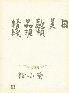 精品欧美日韩在线视频