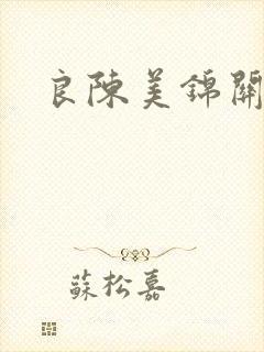 良陈美锦关系图