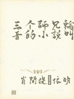 三个师兄轮流上音的小说叫什么封面