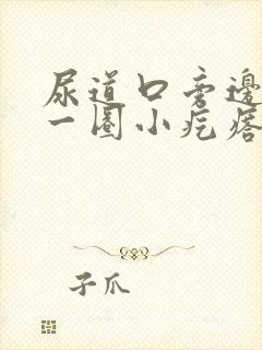 尿道口旁边长了一圈小疙瘩