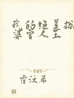 我的绝美总裁老婆曾人王