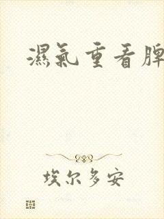 湿气重看脾胃科