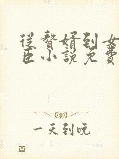 从赘婿到女帝宠臣小说免费阅读封面