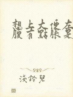 想上大便左边小腹有点胀是什么原因封面