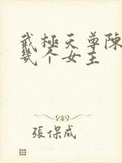 武极天尊陈天极几个女主封面