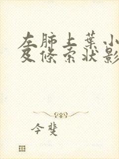 左肺上叶小结节及条索状影