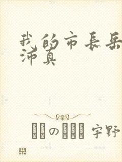 我的市长岳母苏沛真