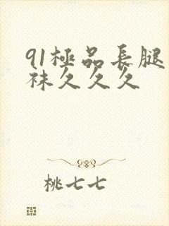 91极品长腿丝袜久久久封面