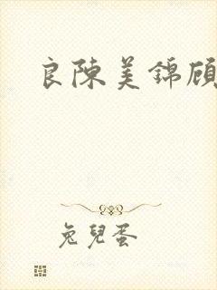 良陈美锦顾德昭封面