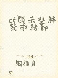 ct显示双肺多发微结节