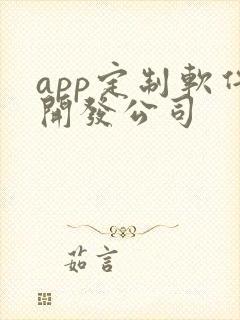 app定制软件开发公司