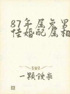 87年属兔男最佳婚配属相