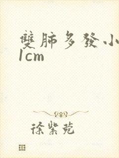 双肺多发小结节1cm