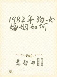 1982年狗女婚姻如何