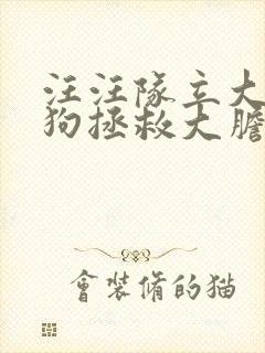 汪汪队立大功狗狗拯救大胆哥