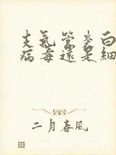 支气管炎白痰是病毒还是细菌