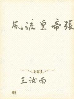 风流皇帝张无忌封面