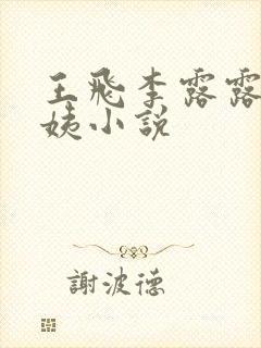 王飞李露露沈阿姨小说封面