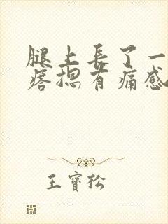 腿上长了一个疙瘩摁有痛感