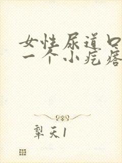 女性尿道口长了一个小疙瘩怎么回事