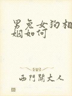 男兔女狗相配婚姻如何