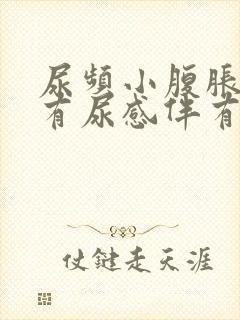 尿频小腹胀痛总有尿感伴有腰痛