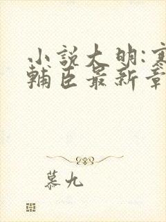 小说大明:寒门辅臣最新章节